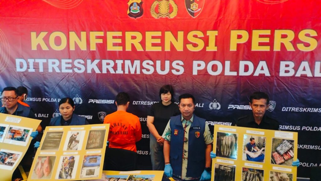 IMG-20241129-WA0006(1)