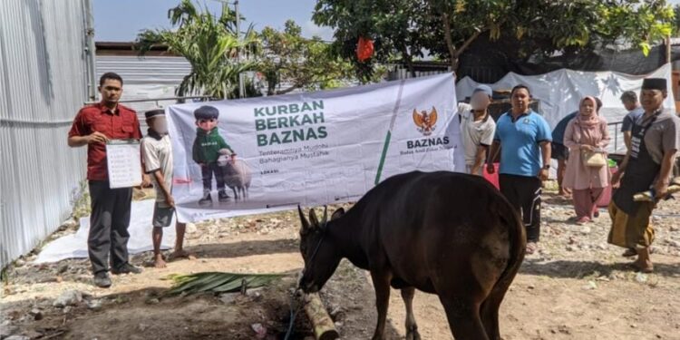 Semarak Idul Adha 1445 H, Lapas Kerobokan Lakukan Pemotongan Hewan Kurban Hari Ke-2