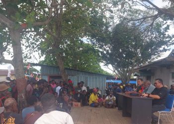 Program Jalan Cetak Sawah 1 Juta Hektar Di Merauke Merupakan Proyek Nasional