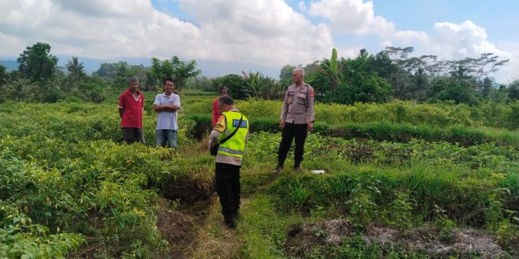 Cooling System, Kapolsek Sidemen Ajak Petani Jaga Keamanan Jelang Pilkada