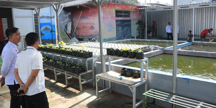 Dukung Program Ketahanan Pangan Nasional, SAE Lapas Pemuda Kelas IIA Madiun Bekali Warga Binaan Pembinaan Keterampilan