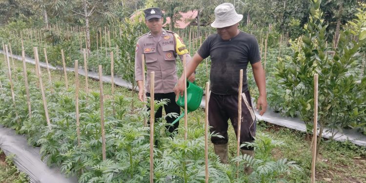 Bhabinkamtibmas Diterjunkan Dukung Program Ketahanan Pangan Nasional