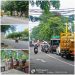 Jalan Putro Agung Di Padati Anjal, Warga Minta Satpol PP Surabaya Segera Bertindak