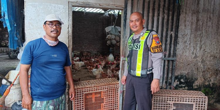Bhabinkamtibmas Polsek Kerian  Dukung Asta Cita Ketahanan Pangan Pendampingan Peternak Ayam di Desa Terik Krian