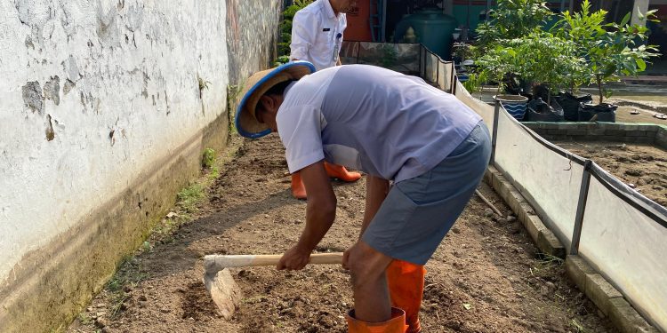 WARGA BINAAN LAPAS MOJOKERTO LAKUKAN PENGGEMBURAN TANAH, SIAP TANAM SAWI UNGGUL
