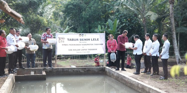 Bersinergi Dengan Dinas Perikanan Kabupaten Tabanan, Lapas Tabanan Tabur Ribuan Bibit Ikan Mujair Dan Lele Untuk Mantapkan Program Ketahanan Panga