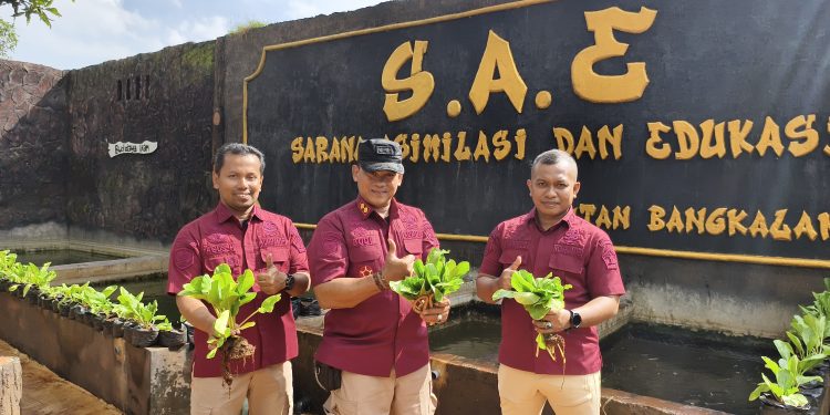 Panen Lele Dan Sawi Di Sarana Asimilasi Dan Edukasi Rutan Bangkalan