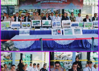 Bareskrim Polri Bongkar Tambang Batu Bara Ilegal di IKN, 351 Kontainer Disita di Pelabuhan Tanjungperak Surabaya