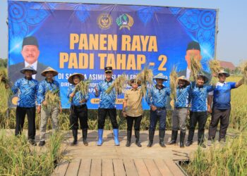 Bukti Nyata Program Asta Cita Dan Akselerasi Imipas,Kakanwil Ditjenpas Jawa Timur Panen 10 Ton Padi Di Lapas Lamongan