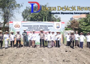 Sinergi Polres Tanjung Perak dan Santri Ponpes Al Fitrah, Tanam Jagung Dukung Ketahanan Pangan Nasional