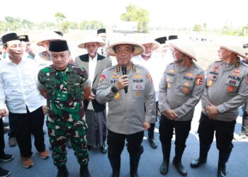 Penanaman Jagung Bersinergi Dengan Ponpes, Bukti Nyata Seluruh Komponen Bangsa Wujudkan Swasembada Pangan