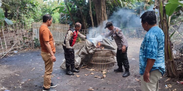 Tindaklanjuti Laporan Warga Polisi Bongkar Arena Sabung Ayam di Sidoarjo