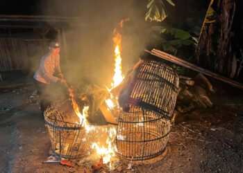 Polisi Bongkar Dua Lokasi Arena Judi Sabung Ayam di Malang