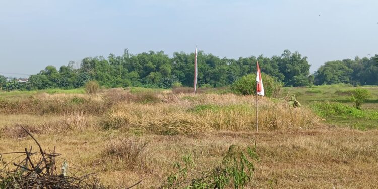 Pembeli Tanah Masih Misterius, Nasib Petani Di Mojokerto Tak Menentu