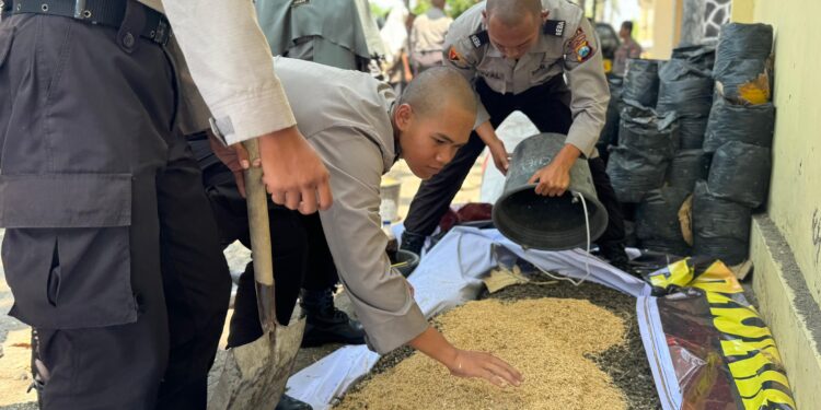 Wujudkan Kampus Hijau, Ratusan Calon Bintara Polri Dalami Ilmu Pertanian di SPN Polda Jatim