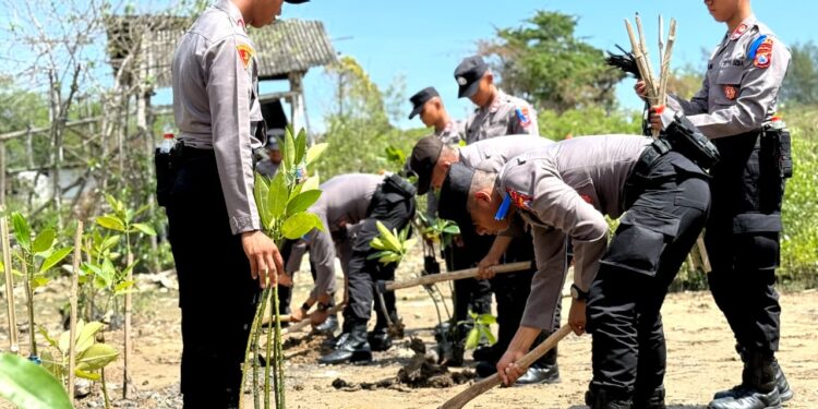 Cegah Abrasi, Siswa Diktukba SPN Polda Jatim Tanam Mangrove Dan Berbagi Bansos