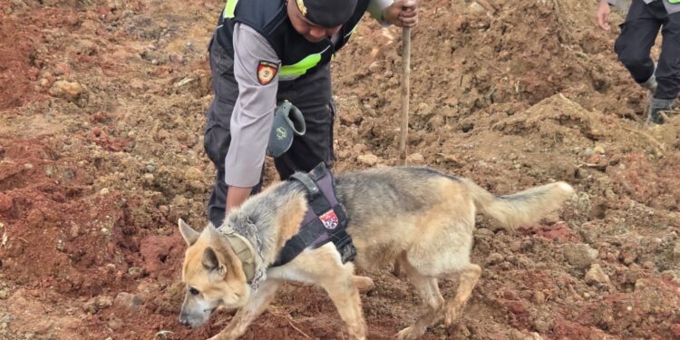 Polri Kerahkan Anjing Pelacak Dalam Pencarian Korban Longsor Cilacap
